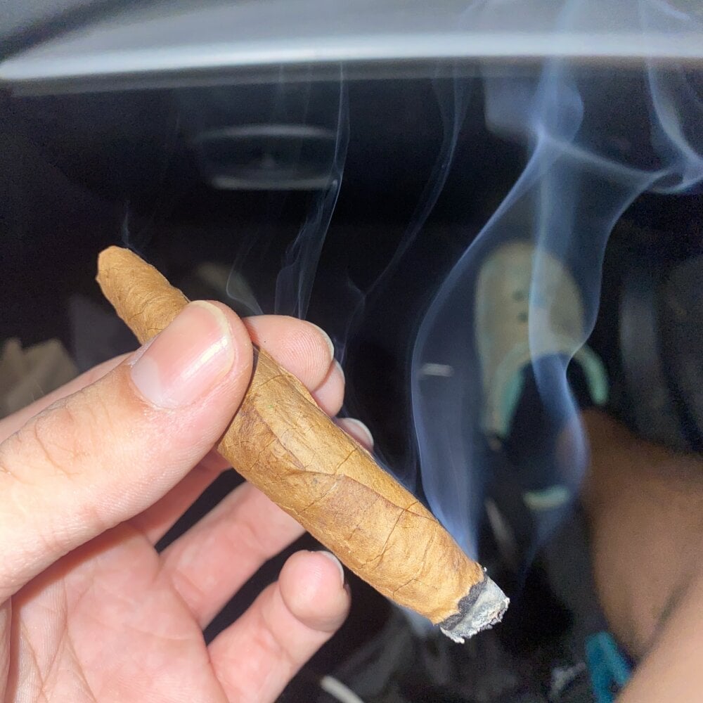 420bigdickking Chatroom