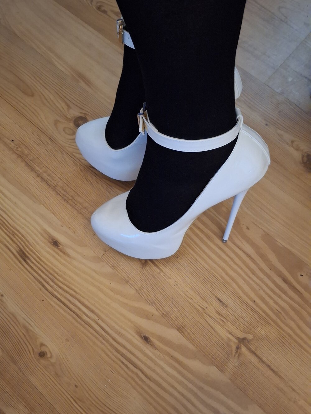 AgnesCross39 Chatroom