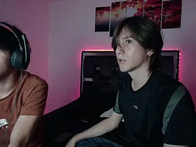 bisexuals