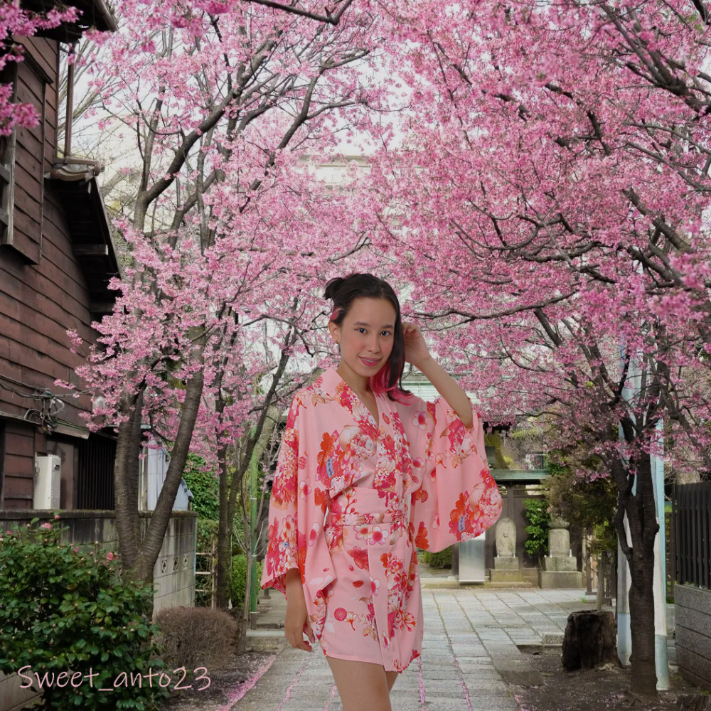 Anto_herrera Chatroom