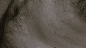 Astleitx