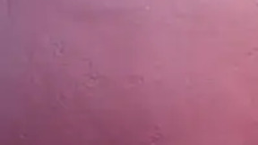baby1stripchat