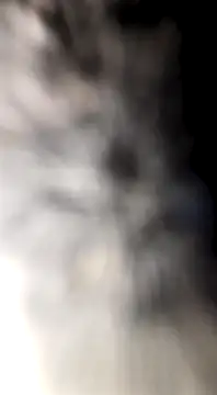 Bierzdobuzisuko4433 Chatroom