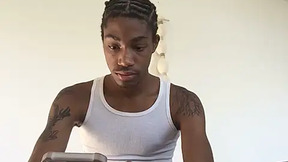 blackbulltitus