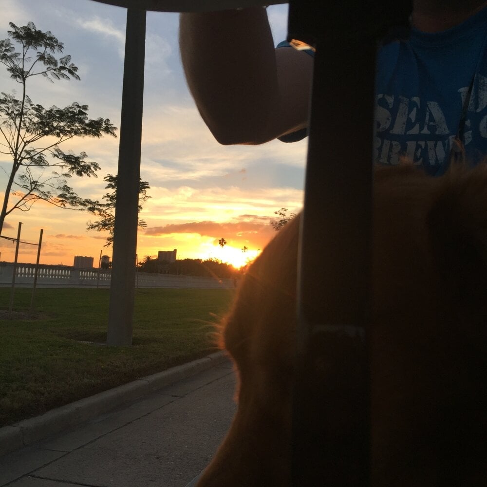 BonerKickstand Chatroom