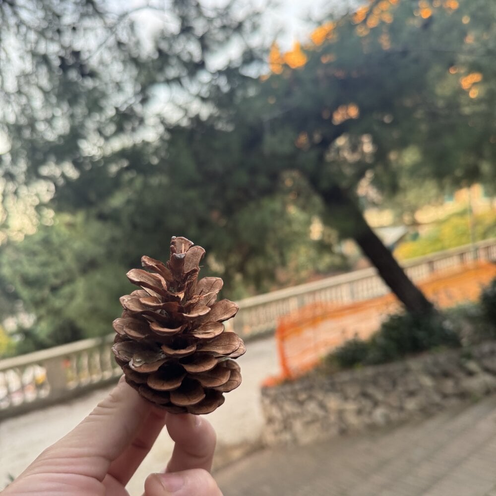 CharlyAlfa22 Chatroom