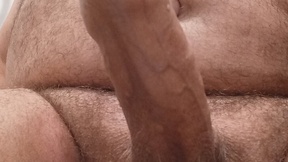 cock-a-saurus68