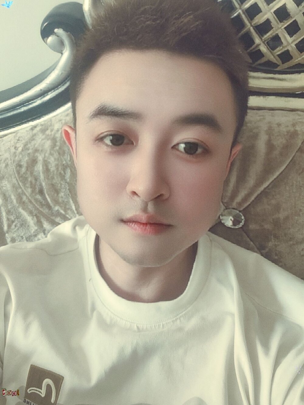 DAYU-1800 Chatroom