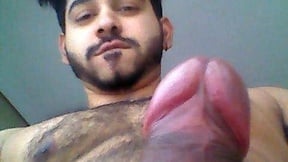Desi_Panda