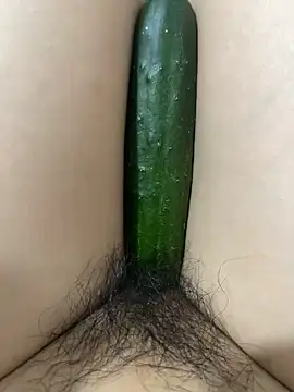 Dina_xo Chatroom