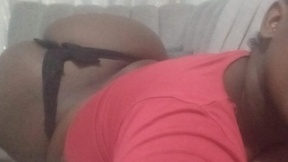 dollyjoly