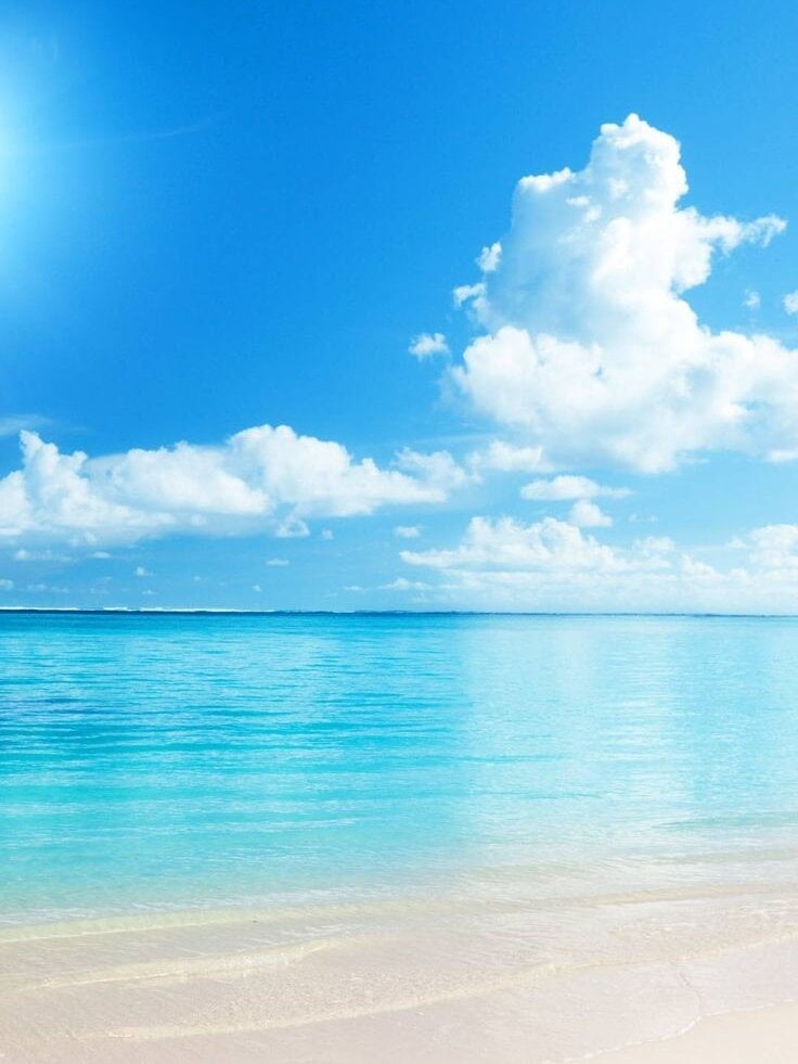 Eloise-brown Chatroom