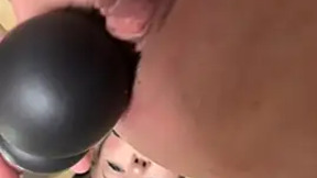 elsasquirt