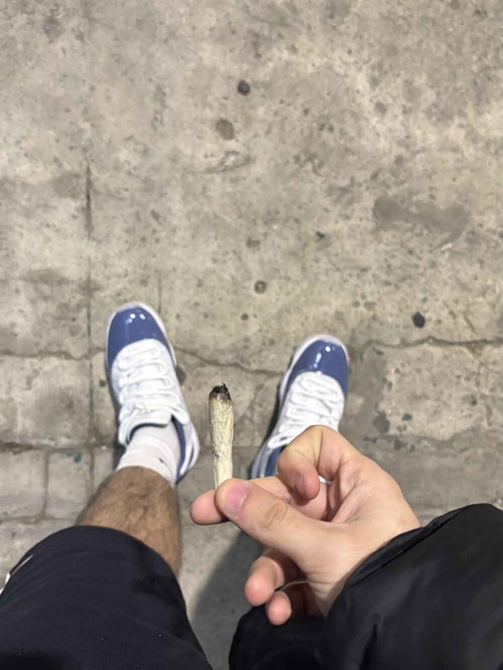 Elvergggg44 Chatroom