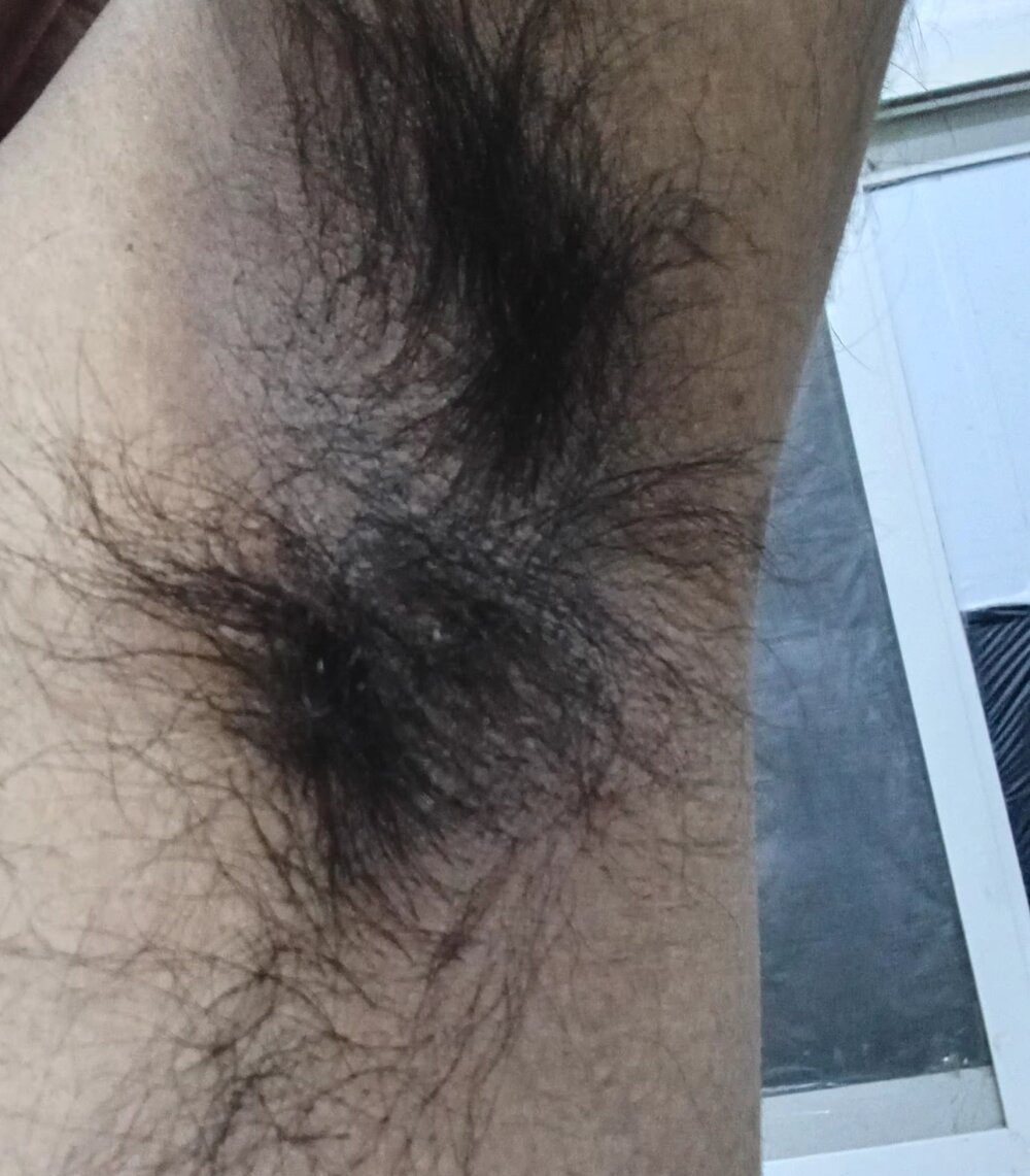 Expresshorse Chatroom