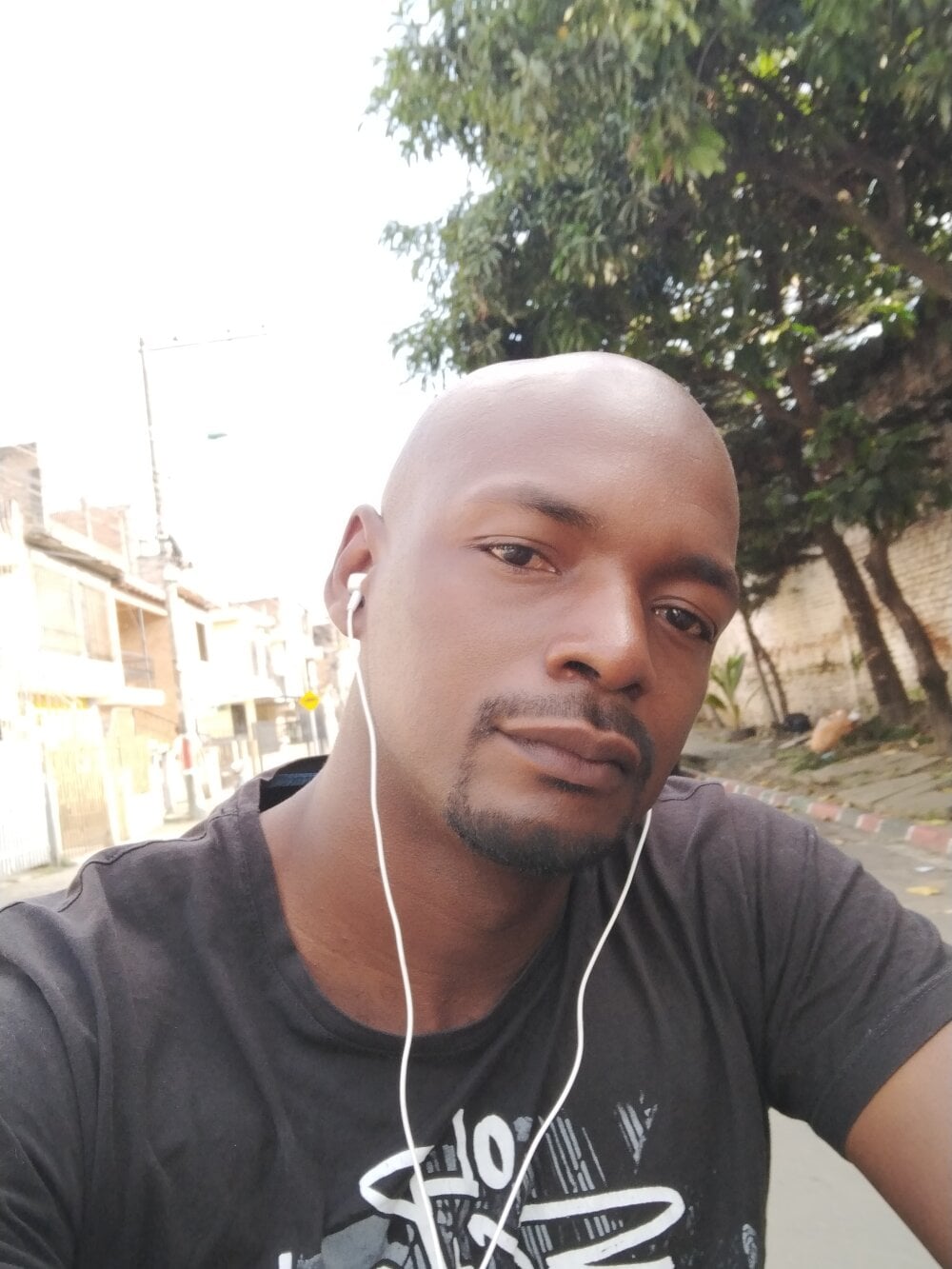 HARLEXBIGCOCK Chatroom