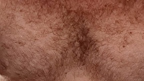 HairyBearTopDominant@xh
