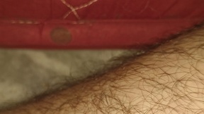 Hairyboyysexy