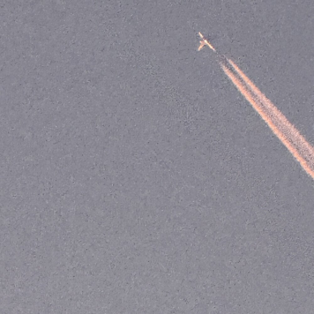 Indian_slave_dog Chatroom