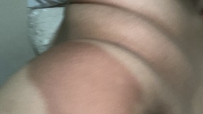 Jaarfdml1208