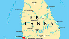 Live Snapshot of jeewapatel jeewapatel