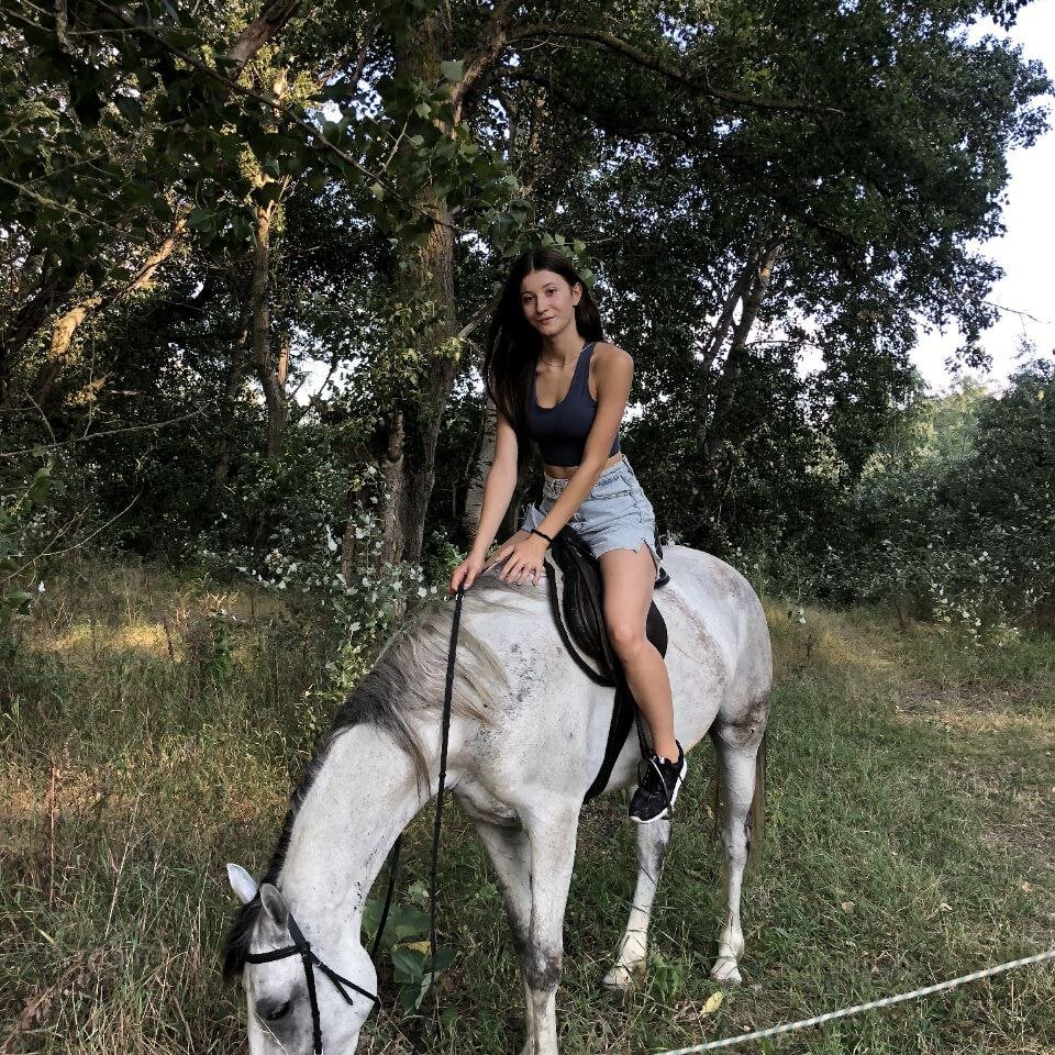 JustinForce Chatroom