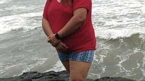 Kannada-Telugu-Tamil143