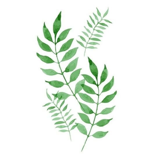 Latinacowgirl Chatroom