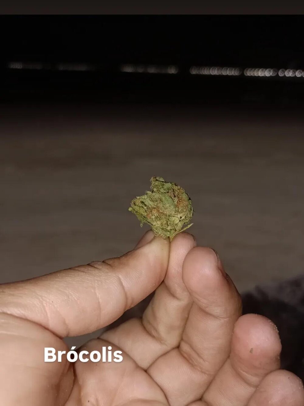 Lucaslgusto01835 Chatroom