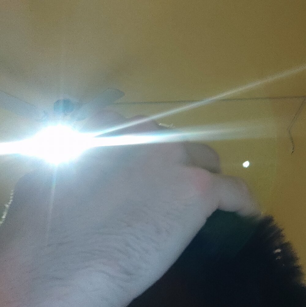 Luismiguel55 Chatroom