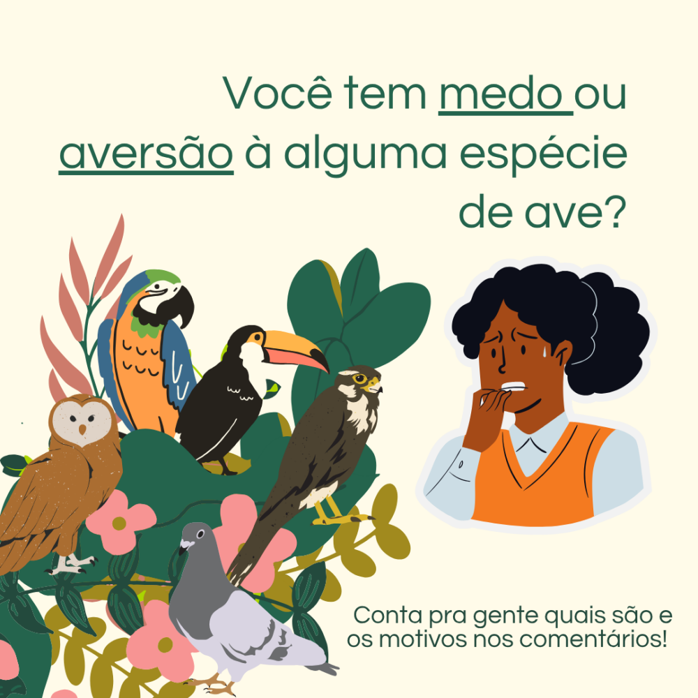 LunaFoxFire Chatroom