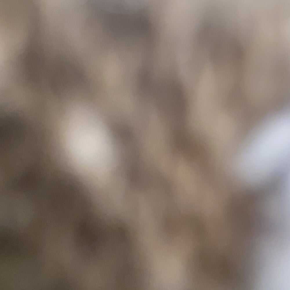 Machinegun012 Chatroom