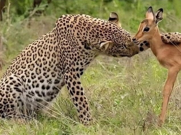 Matinyelamadoda Chatroom