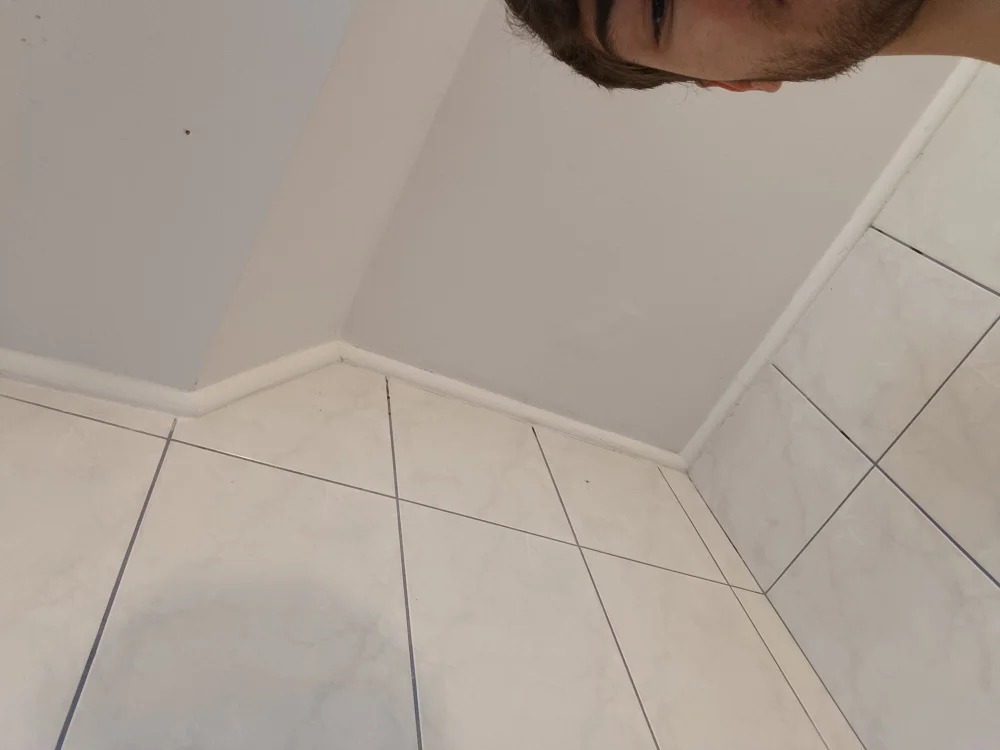 Max69690 Chatroom