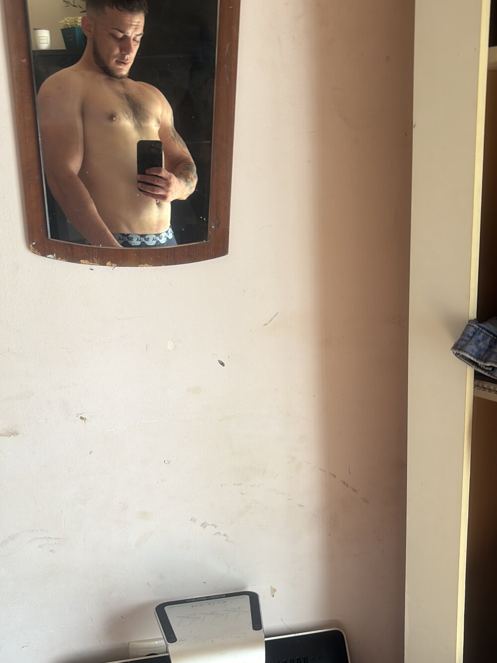 MellowBiscuit3 Chatroom