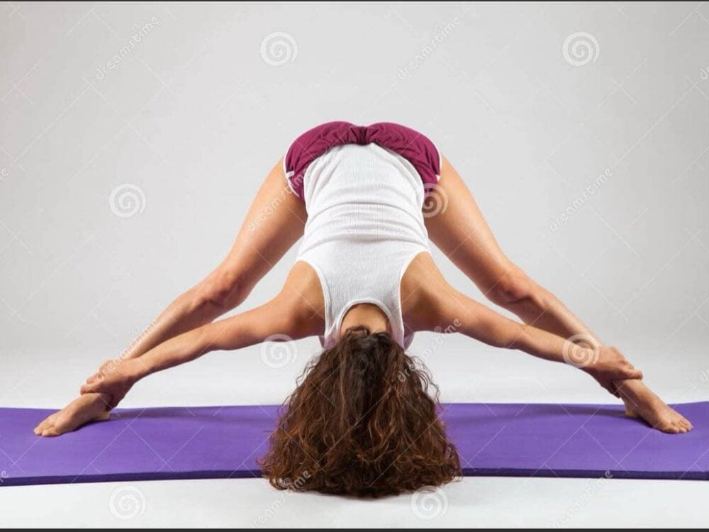 MissTransStella69 Chatroom