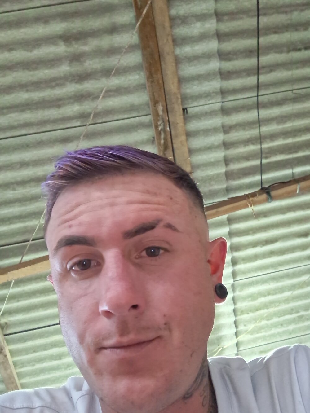 OTaldoSette777 Chatroom