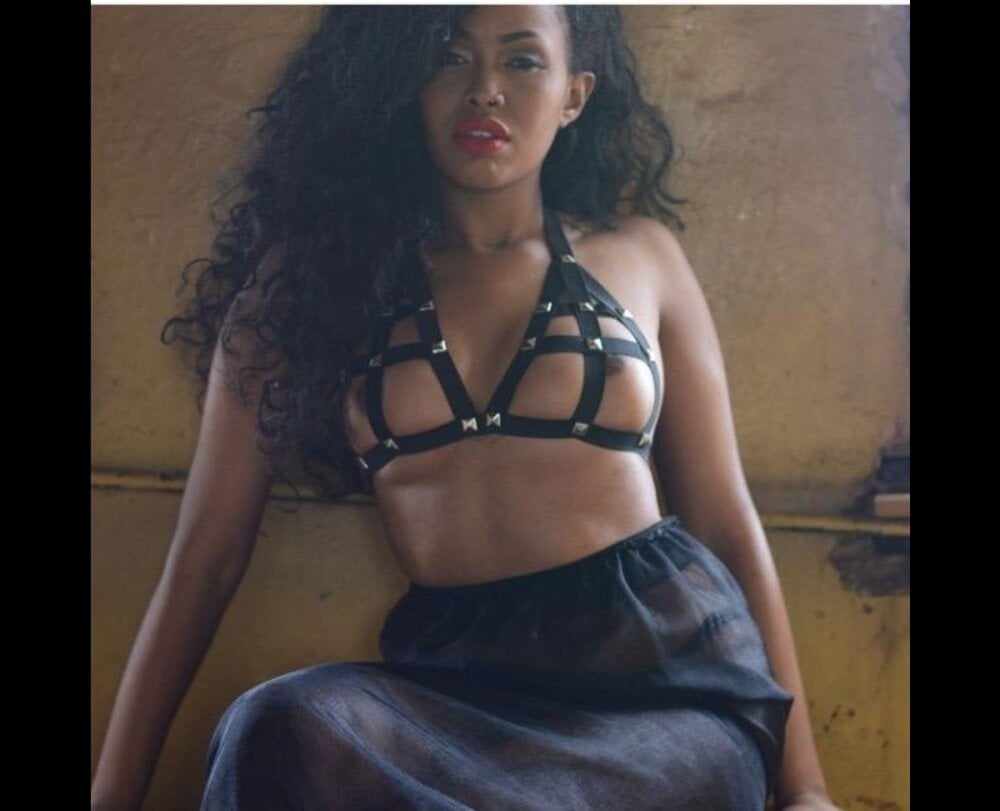 Papergyalgurux Chatroom