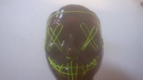 Pau_Peludo_Barreiras-BA