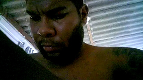 Live Snapshot of pica1000fla pica1000fla
