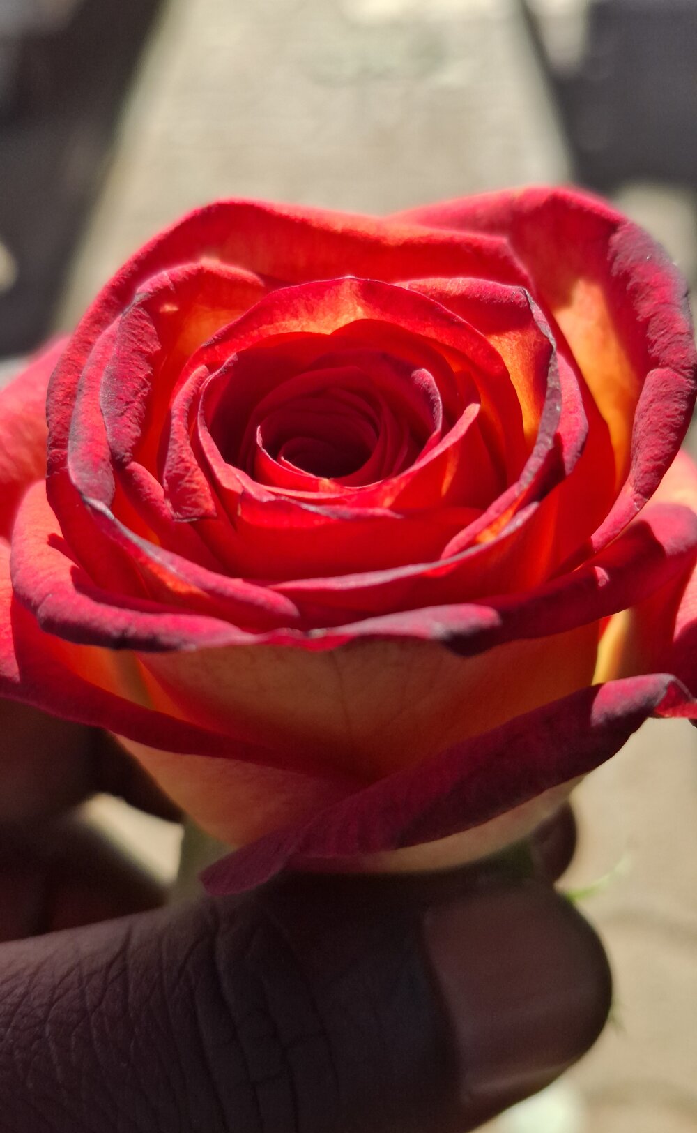 RawAndReady2 Chatroom