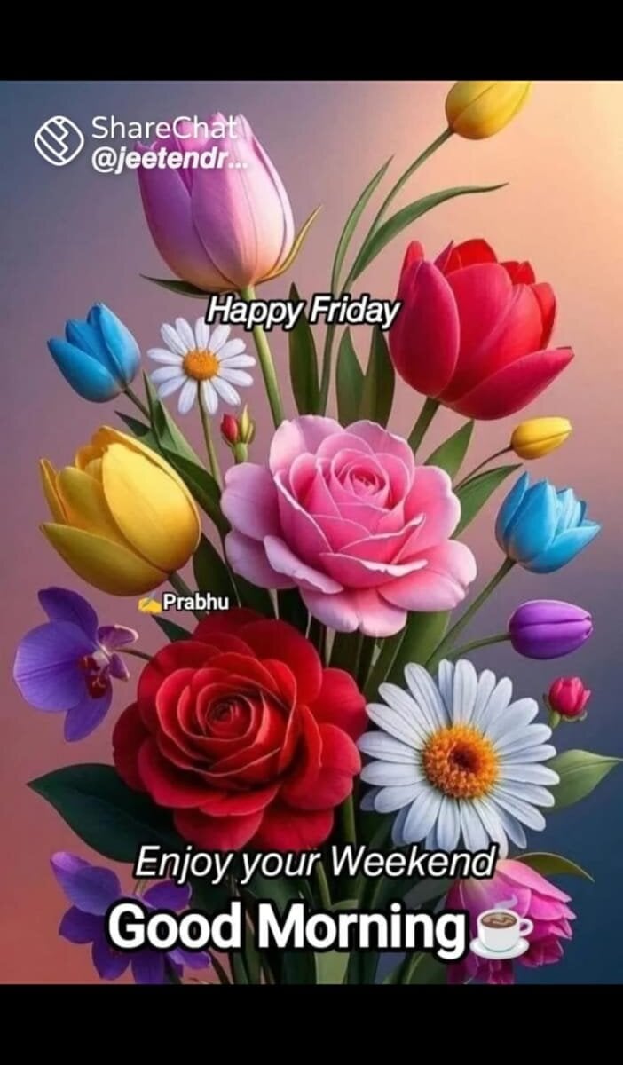 Real18sis_sex_sis Chatroom