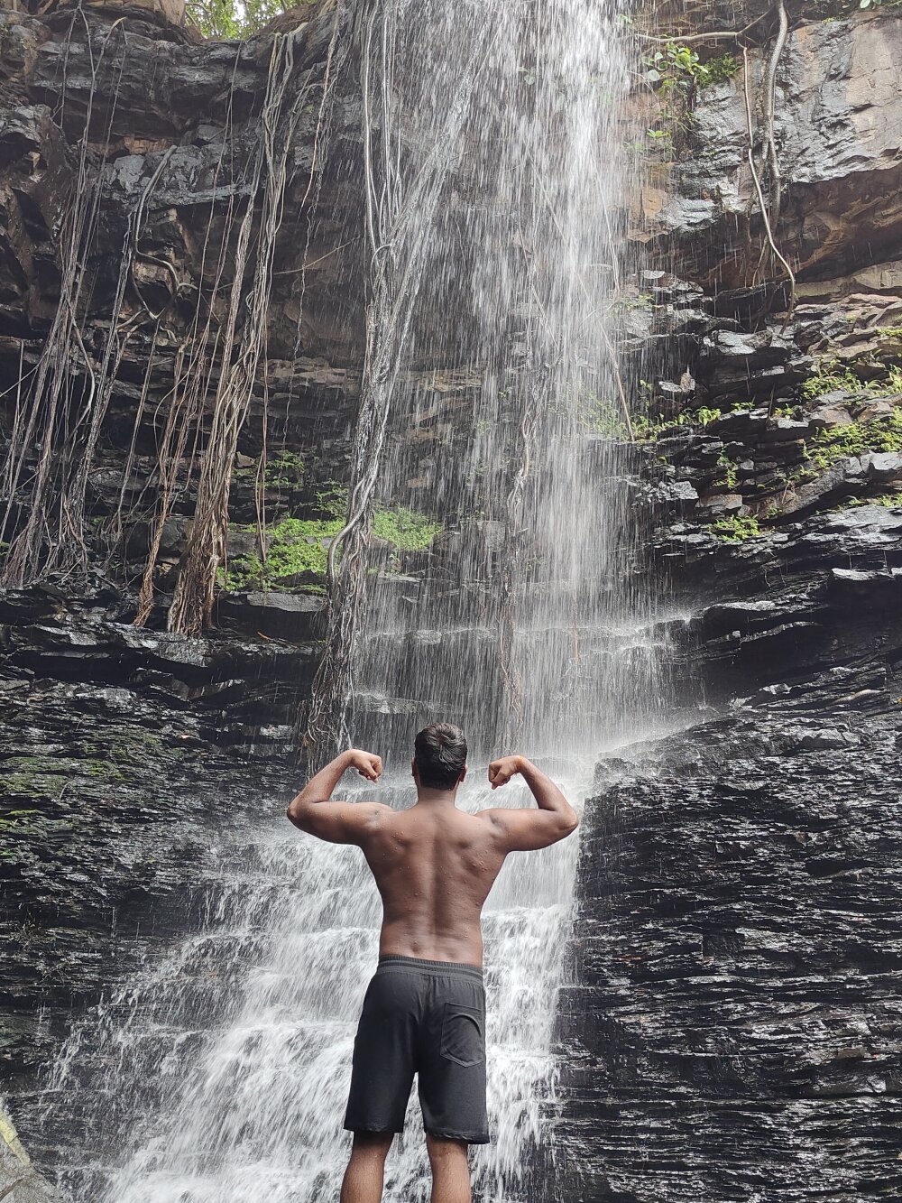 Shikaari013 Chatroom