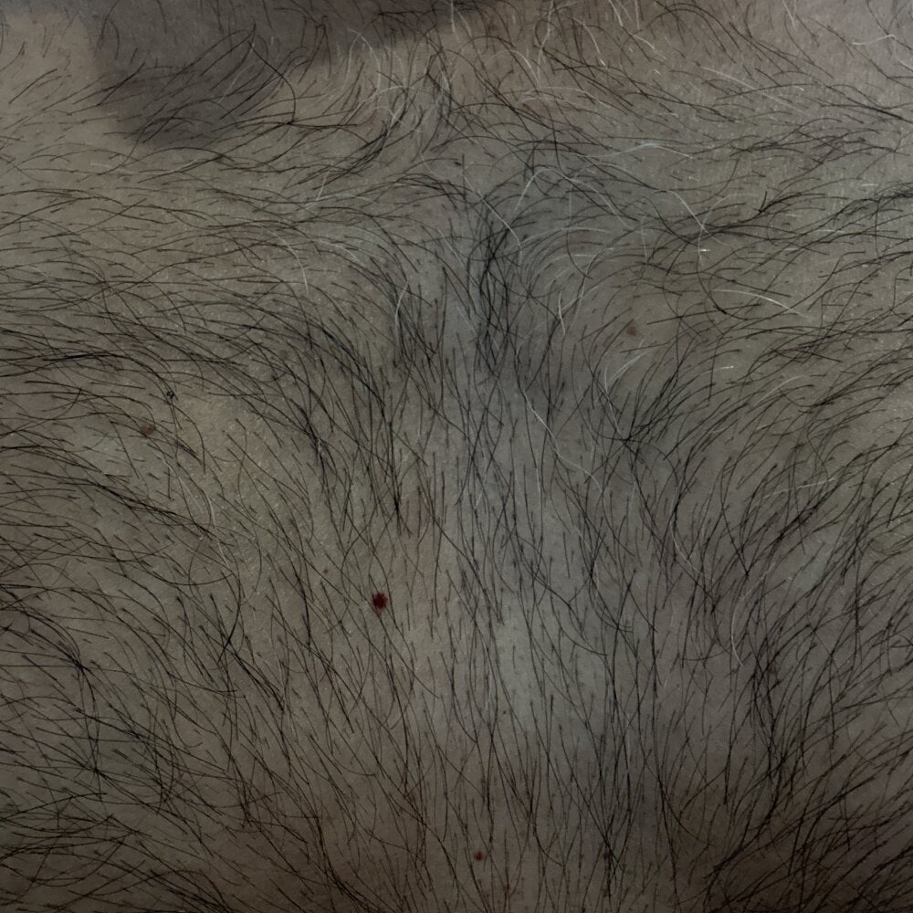 Simplemind2 Chatroom