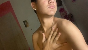 sivelmipapi