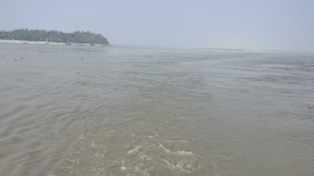 sneharahul