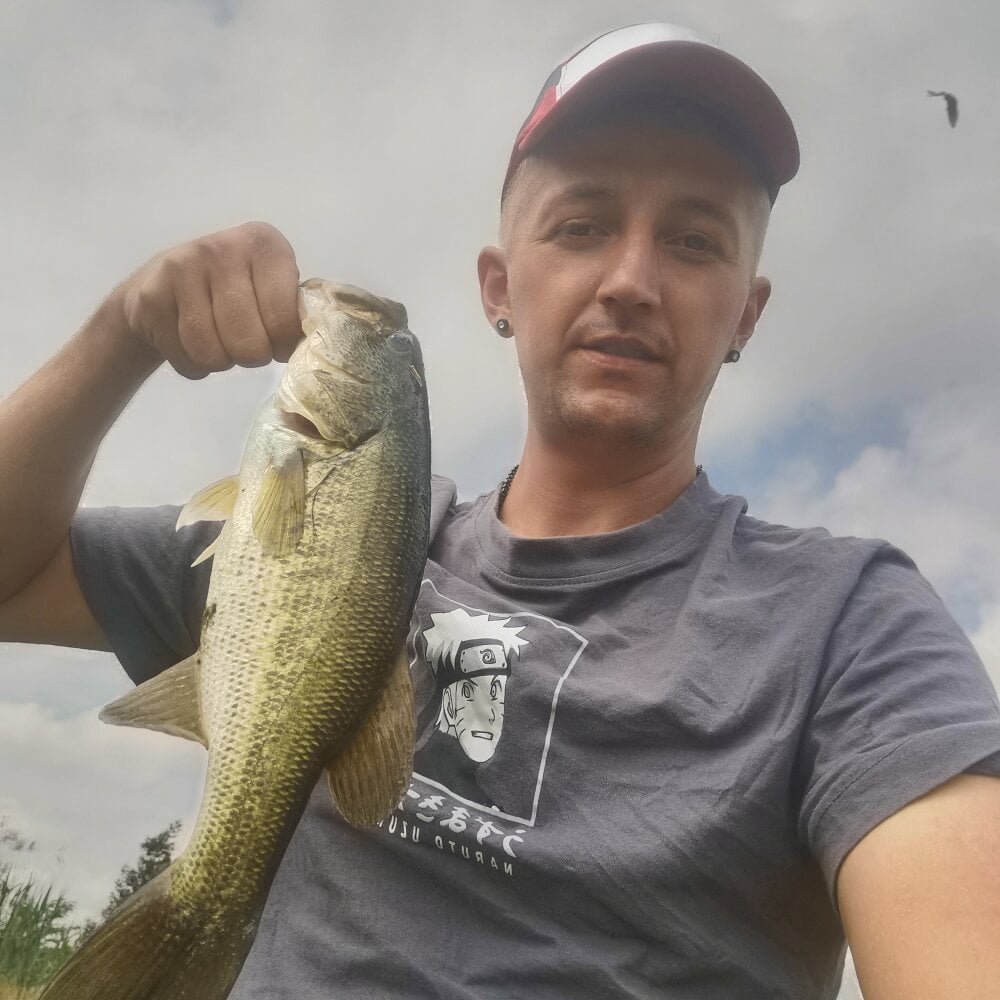 SugarAndSpiceXXXX Chatroom