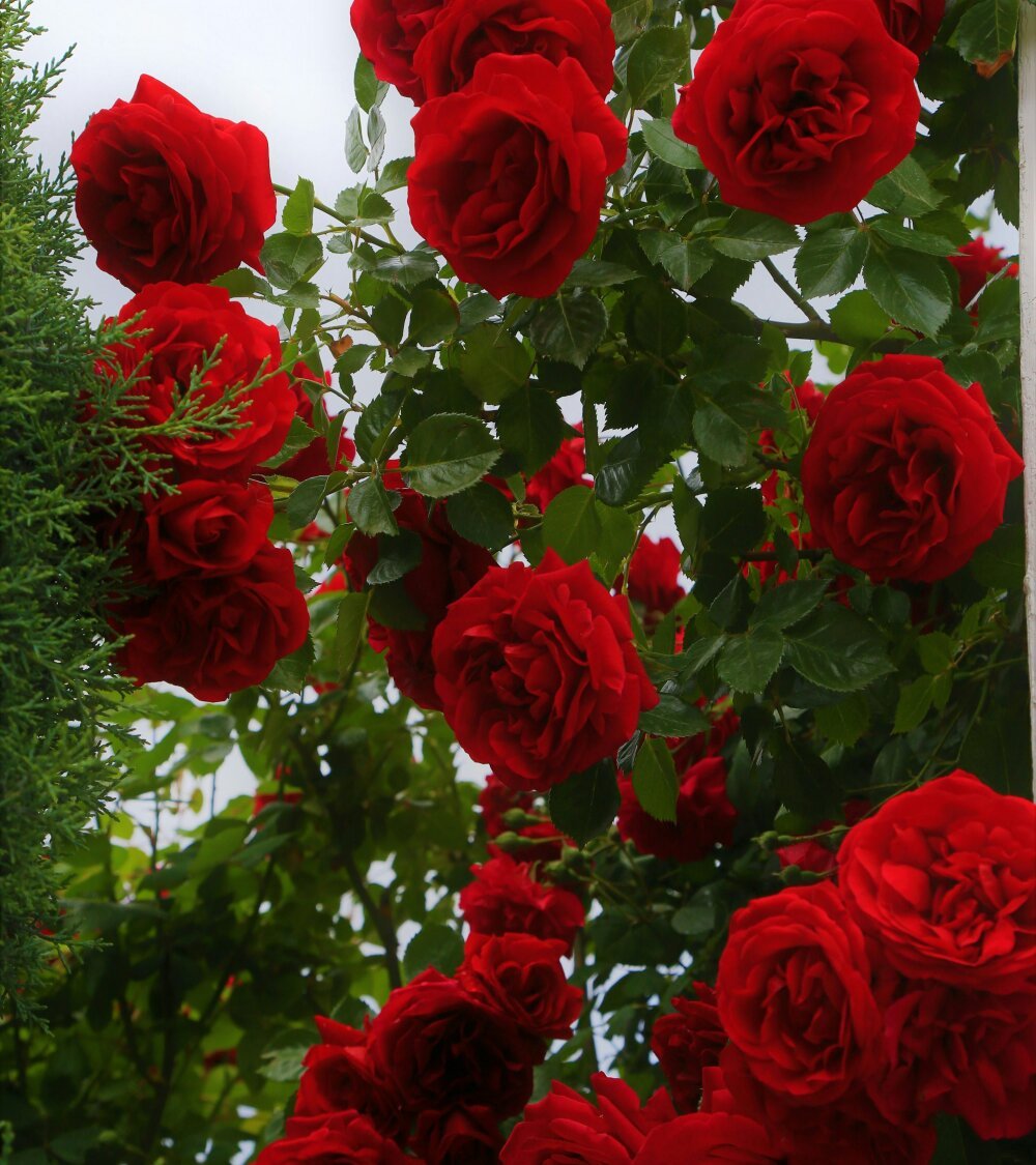 Tamil_Kavitha10 Chatroom