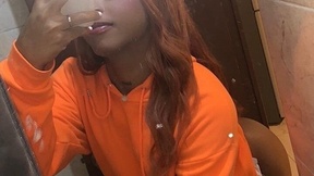 TransDivine_TSPERVERT