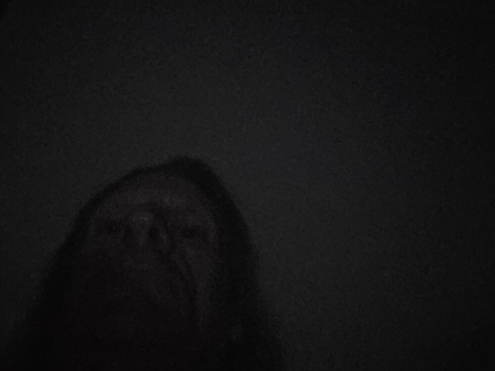 Travislovescum Chatroom